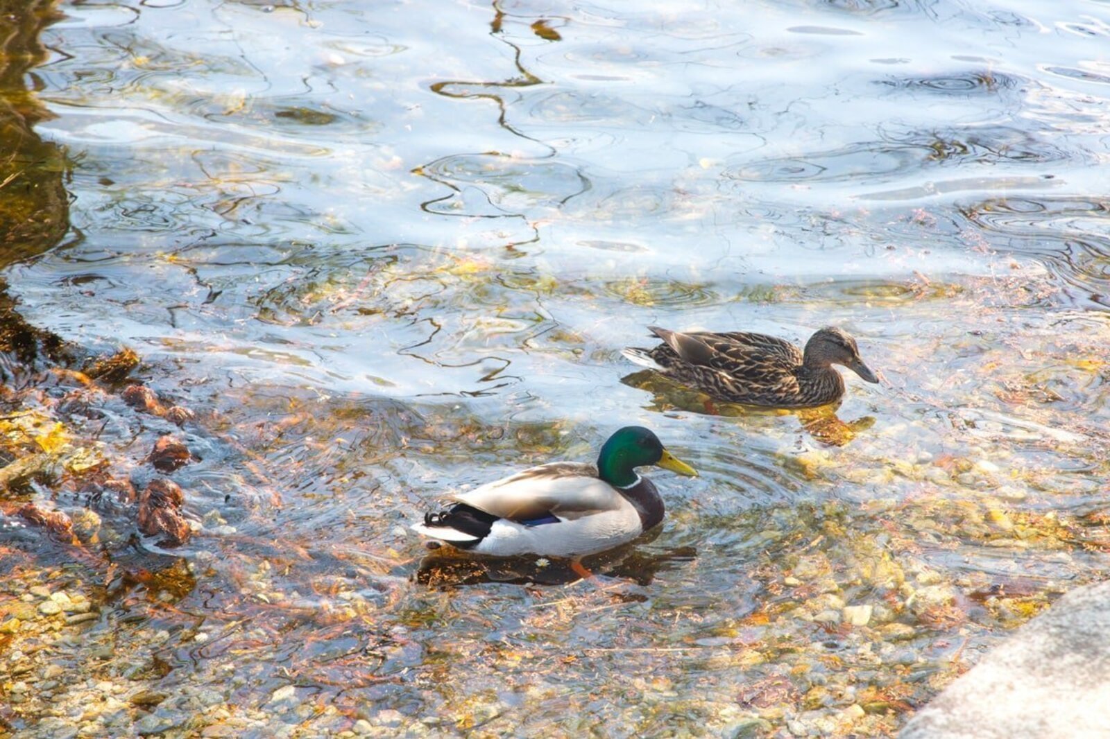 A stroll along the shores