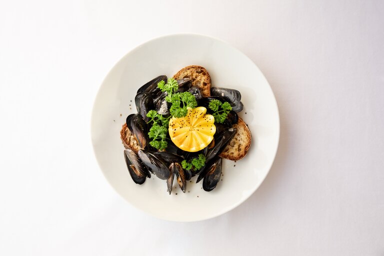 Food Cuisine