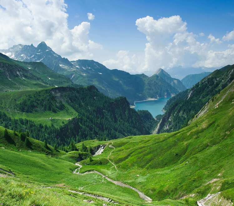 Alps